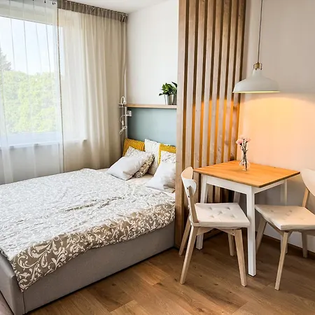 Studio Apartment Trencin