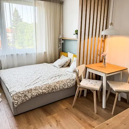Studio Apartment Trencin *