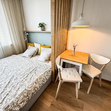 Studio Apartment Trencin アパート