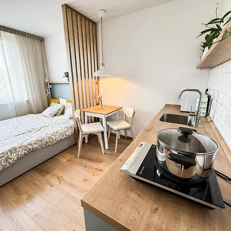 Studio Apartment Trencin *