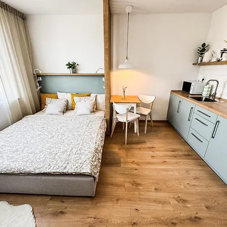 Studio Apartment Trencin アパート Trenčín
