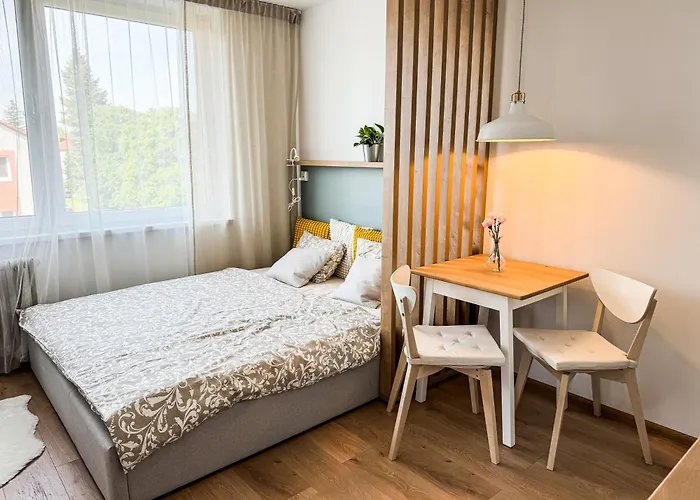Studio Apartment Trenčín