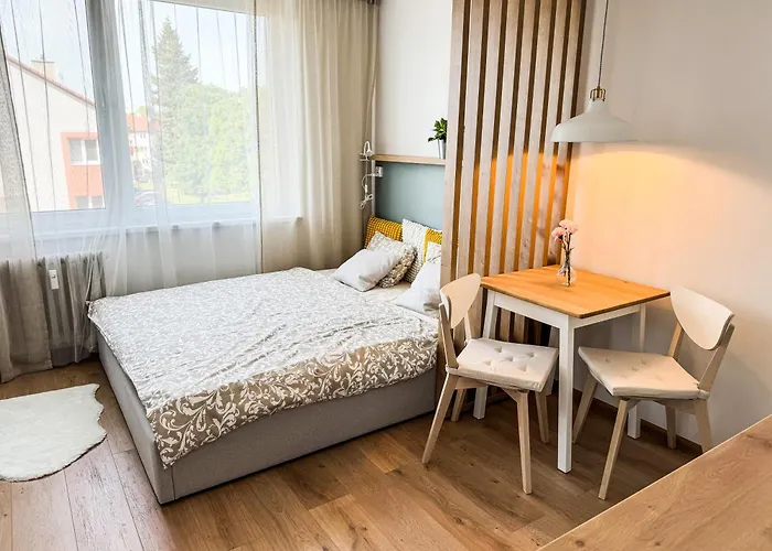 Studio Apartment Trenčín *