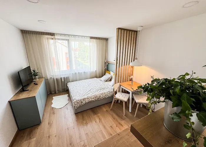 Studio Apartment Trenčín Trenčín