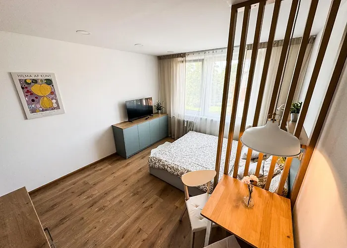 Apartmán Studio Apartment Trenčín *