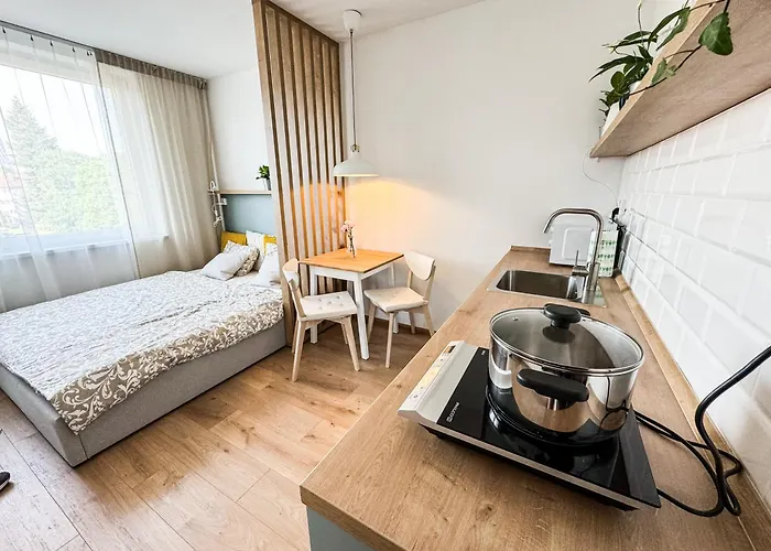 Studio Apartment Trenčín *